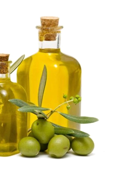 Oil Olive